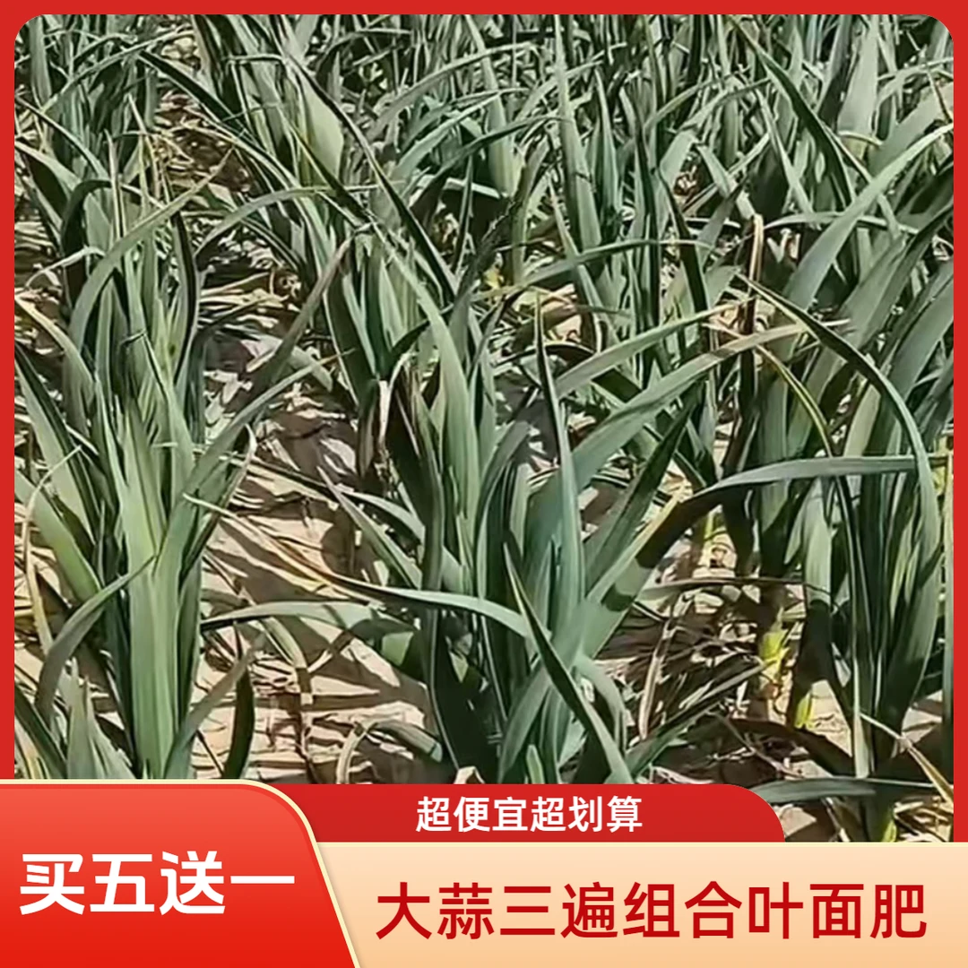 大蒜三遍套餐 买五送一 增产营养壮苗生根叶面肥组合