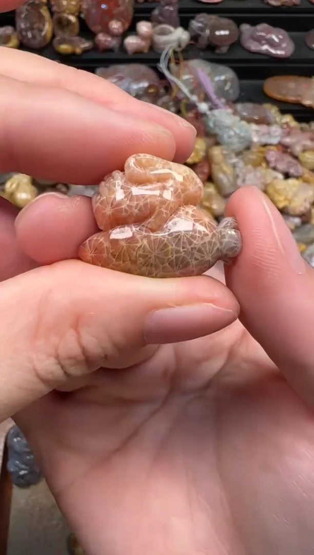 颈饰未镶嵌硅化珊瑚（珊瑚玉）108