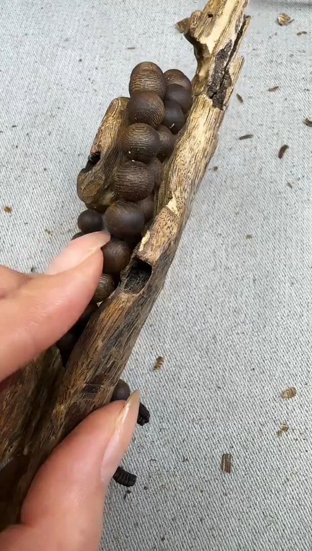 沉香沉香碎屑0924张勺子沉原材料静静沉香甄选多样性发一