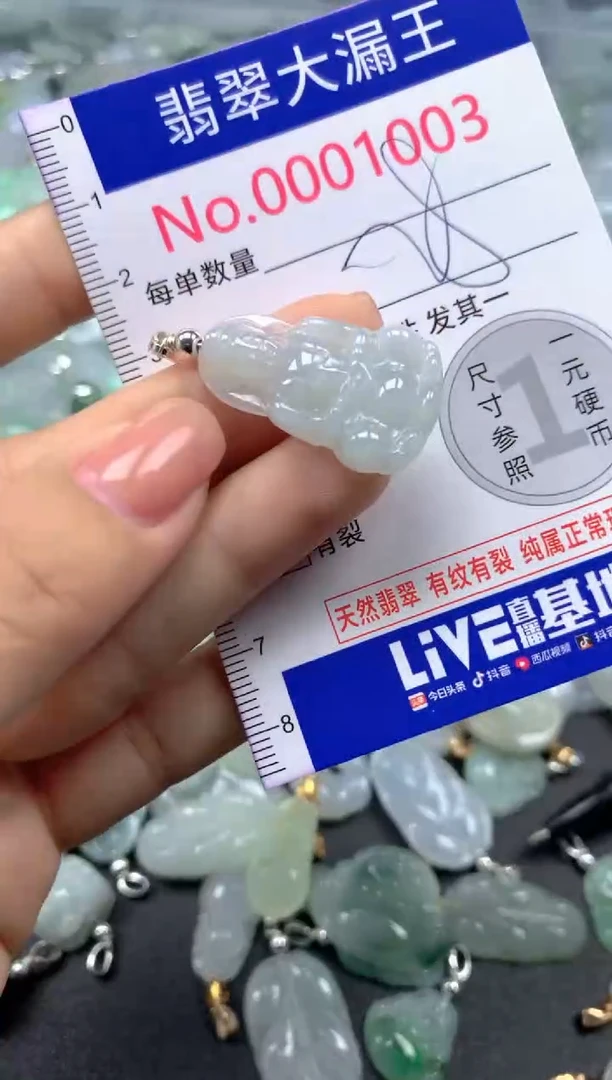 颈饰未镶嵌翡翠1003
