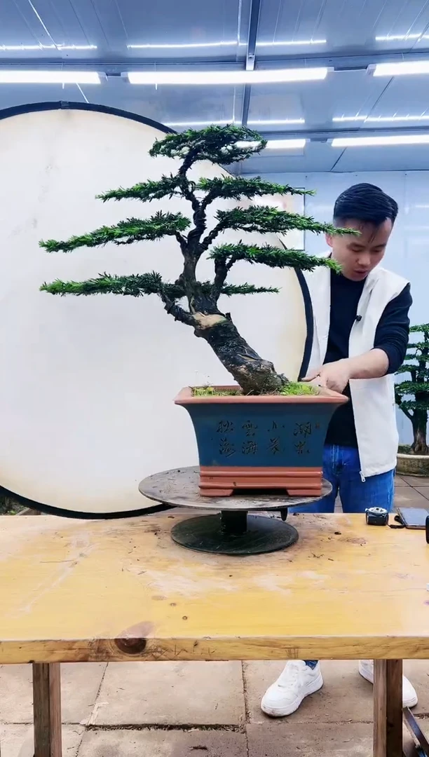 过*龙000000000000000