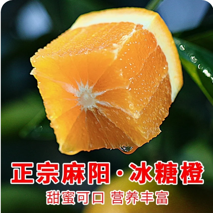 湖南麻阳纯甜锦蜜冰糖橙糖橙新鲜采摘果园现采现发