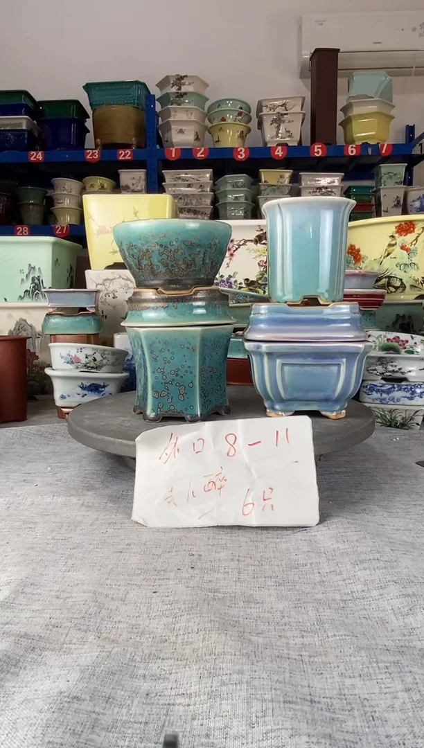 92308六只美人醉花盆