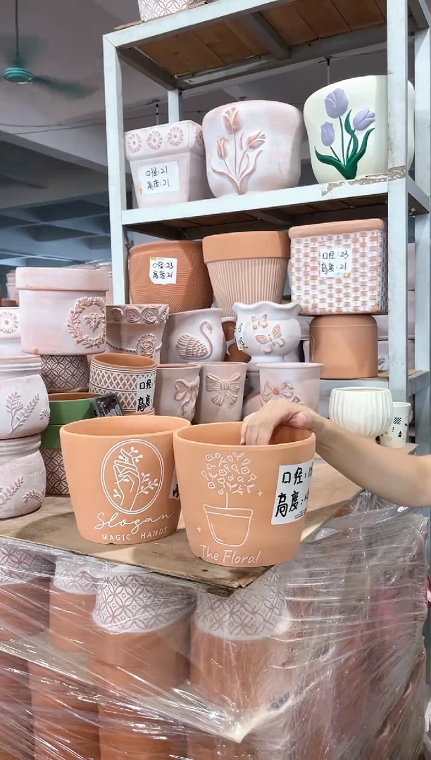 擦白盆花＋手捧橄榄枝口16-14