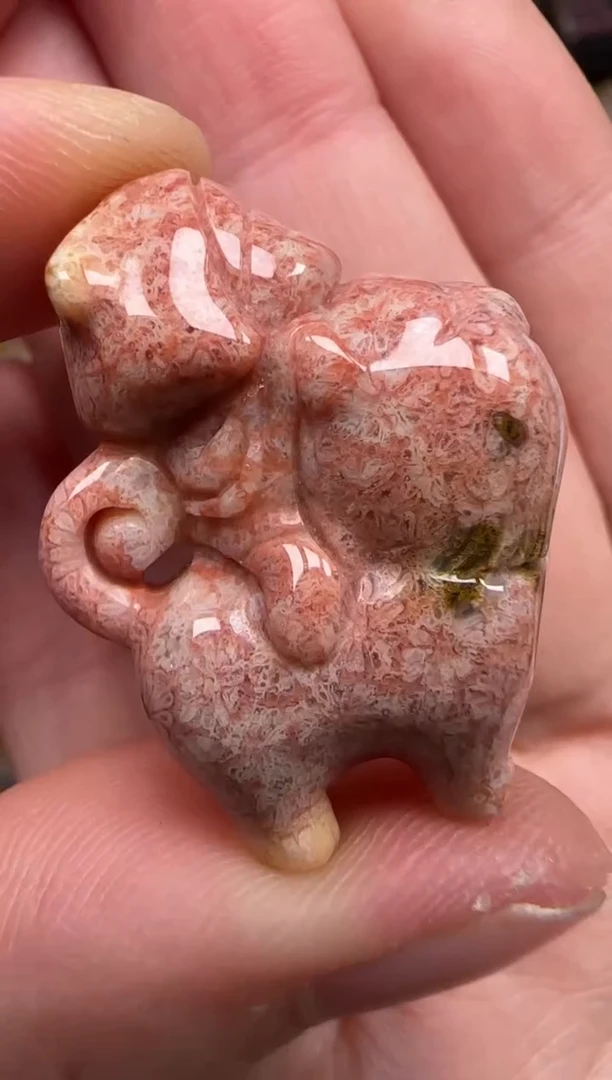 硅化珊瑚（珊瑚玉）未镶嵌颈饰109