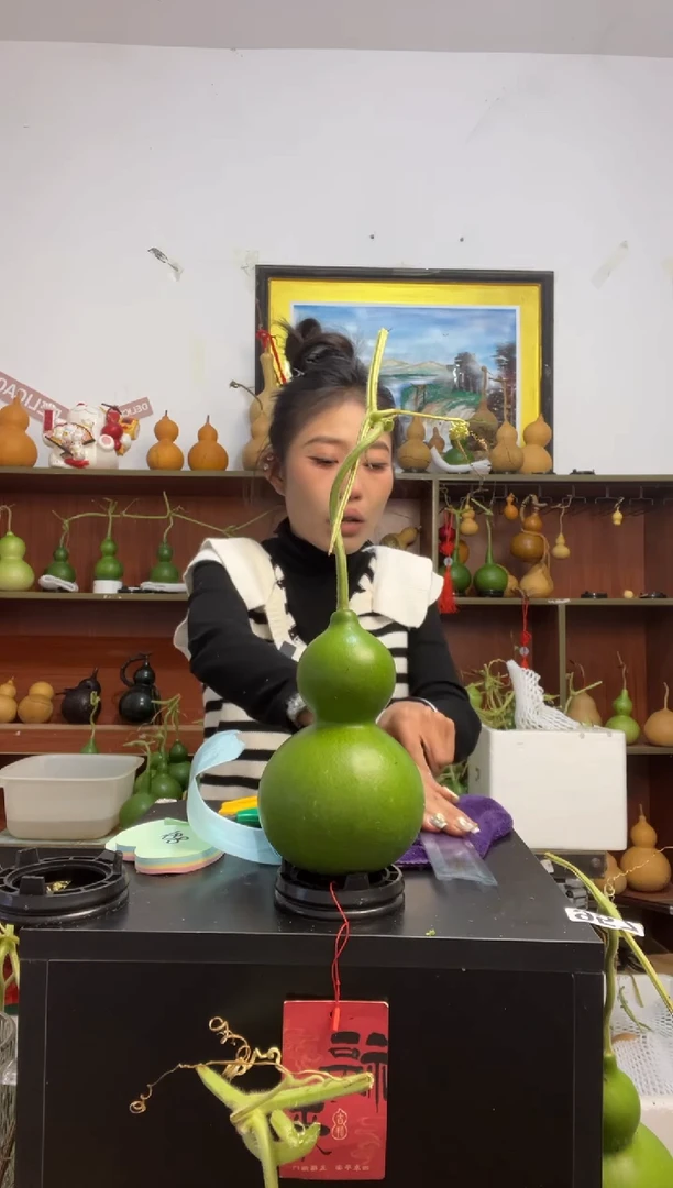 妮961天然葫芦摆件 一物一拍龙头不保售后
