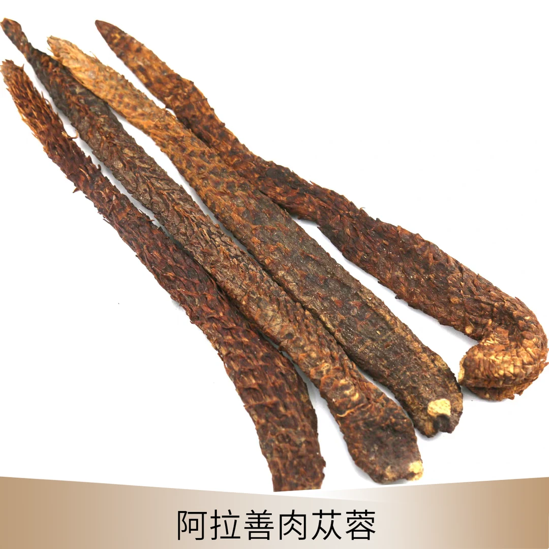 荒漠肉苁蓉正品切片内蒙古发货