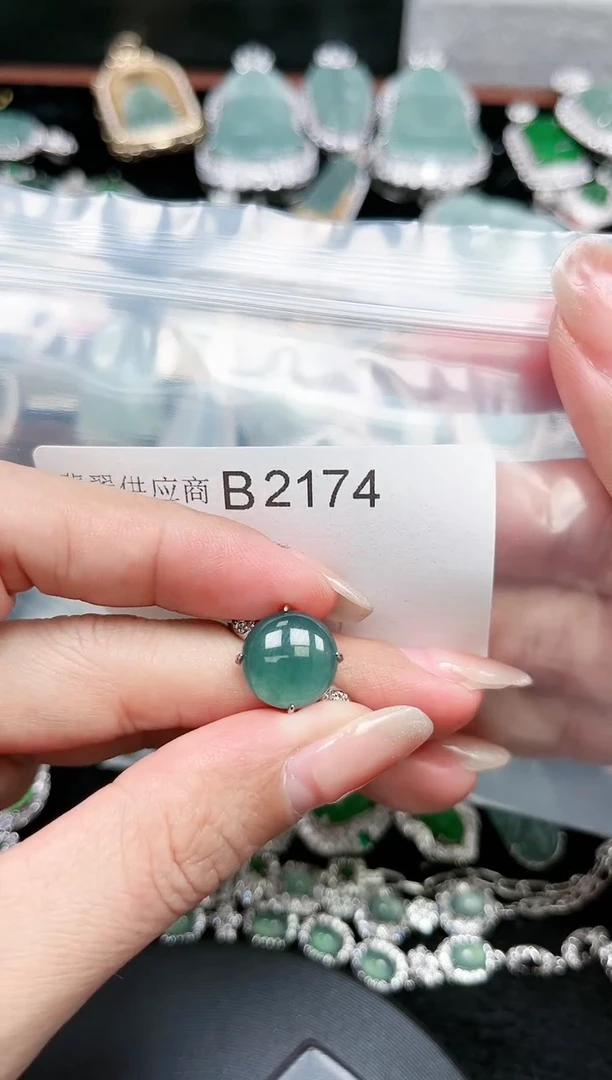 【闪购商品】翡翠颈饰未镶嵌赠皮绳2174