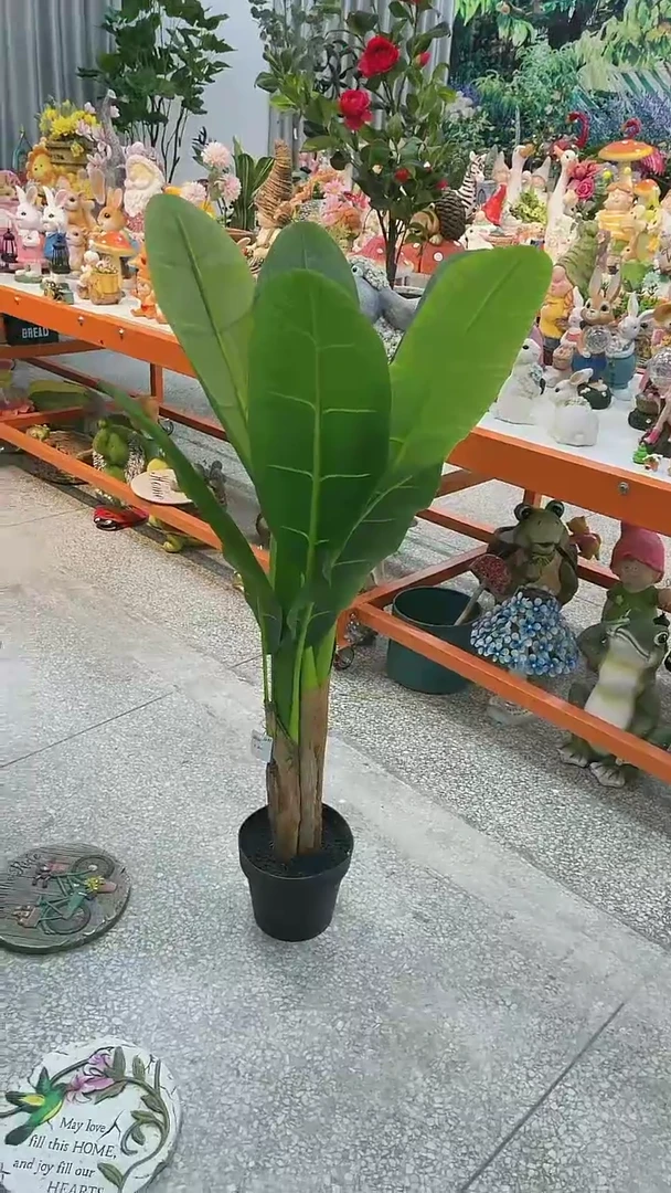 【闪购商品】         芭蕉树