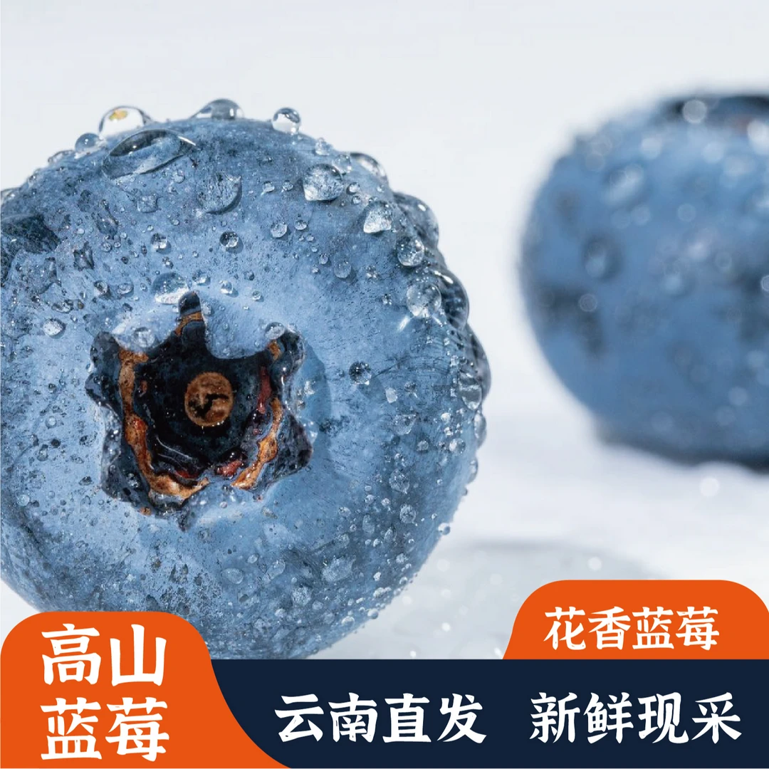【花香蓝莓】实惠尝鲜装 甄选当季特大鲜果肉厚脆甜 产地现摘现发