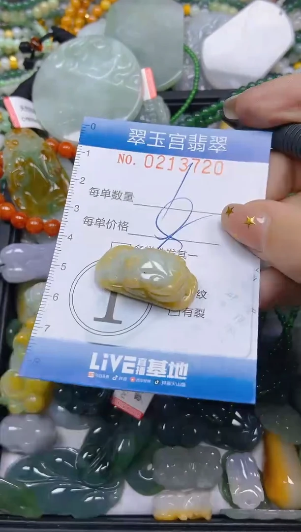 颈饰未镶嵌翡翠闪购C0213720