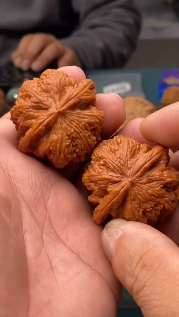 把件文玩核桃大粗筋b041