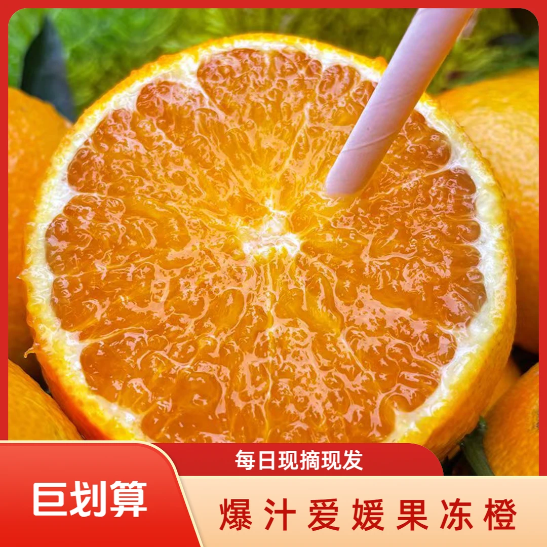 （好品质）爱媛38号果冻橙四川正宗新鲜当季水果手剥橙子爆汁果冻橙