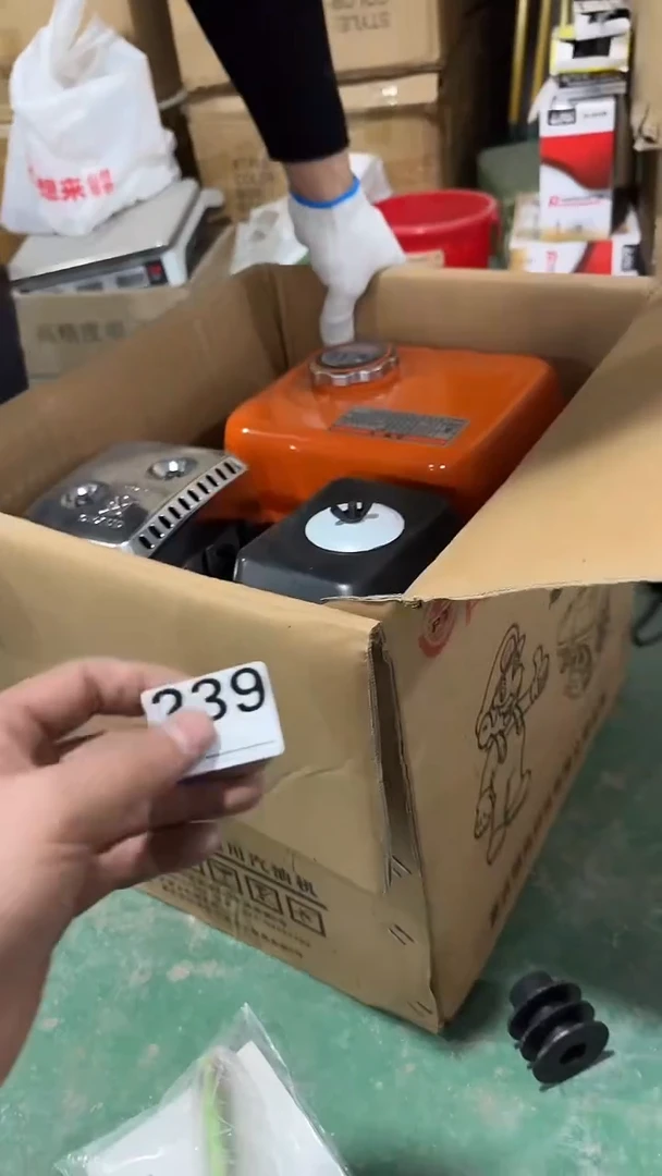 看清下单不退不换239