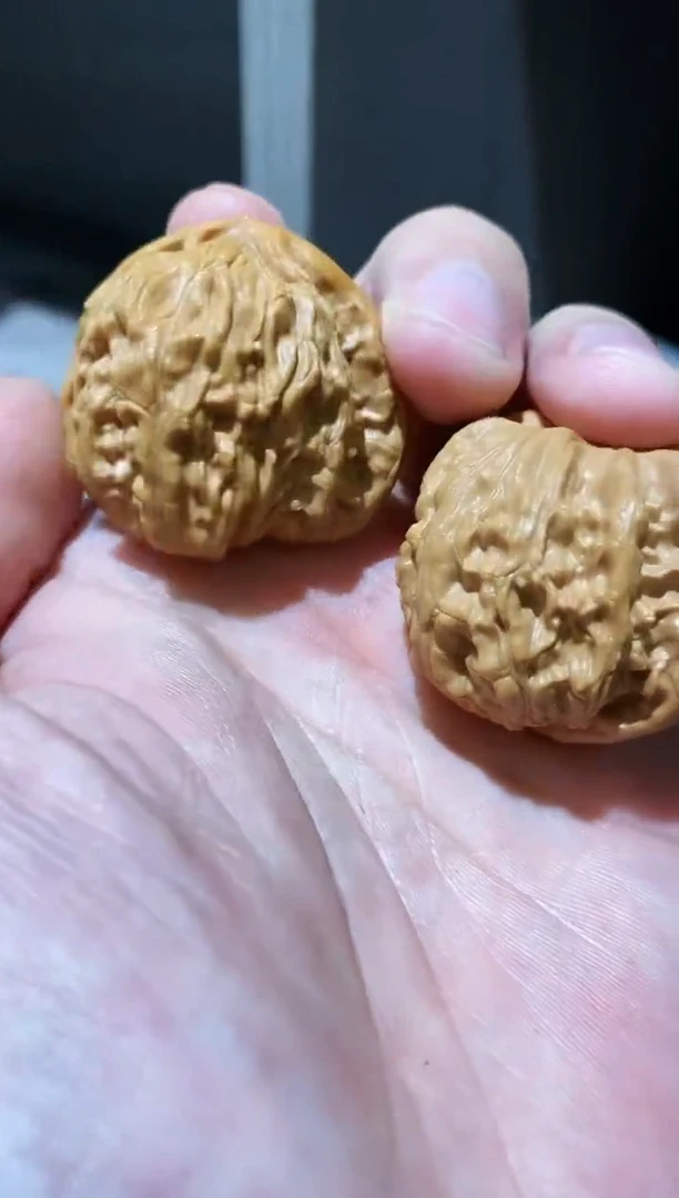 文玩核桃把件微修打底三角白33-37