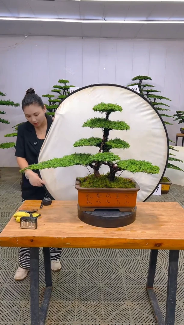 无花朵一物一拍一物一拍