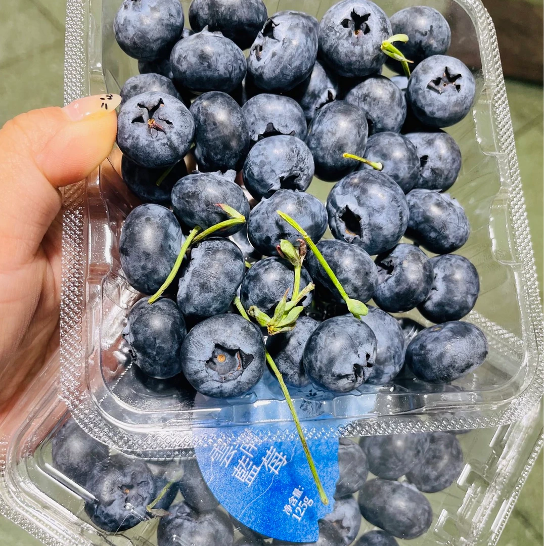 【迷迭蓝云南蓝莓】