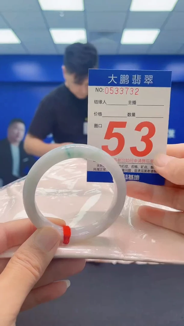 未镶嵌手镯翡翠AAAAAAAAA