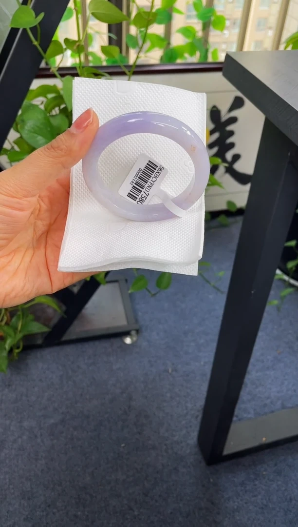 未镶嵌手镯翡翠202-56.6