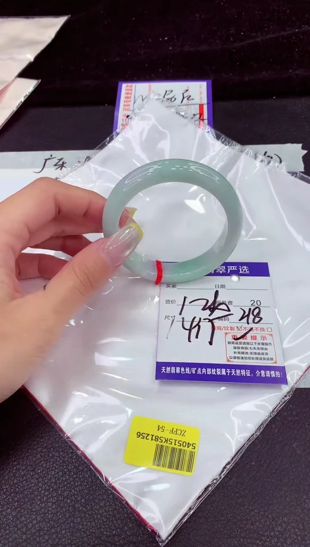 未镶嵌手镯翡翠11111111