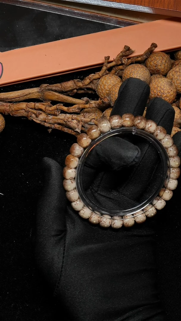 手串星月菩提焦糖冰大眼睛-A221-L