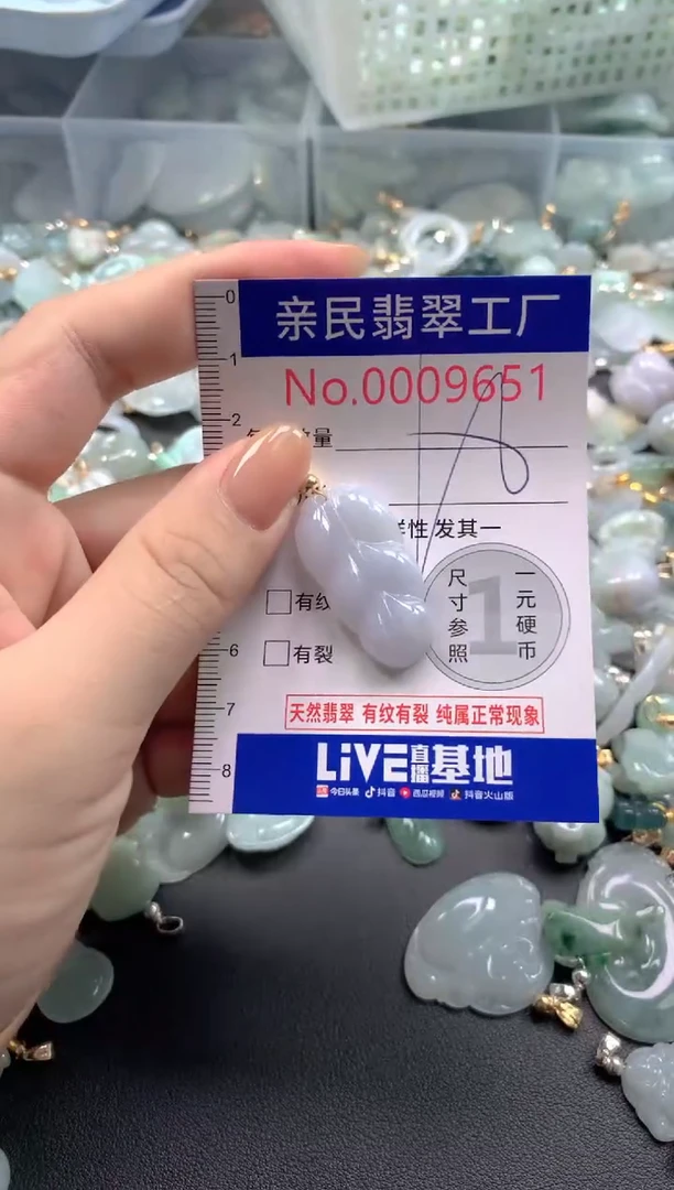 颈饰未镶嵌翡翠9651