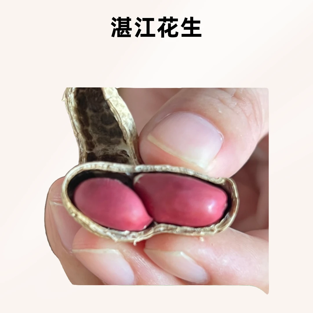 广东湛江正宗农家带壳农家自种小粒红皮脆皮花生果肉饱满酥脆