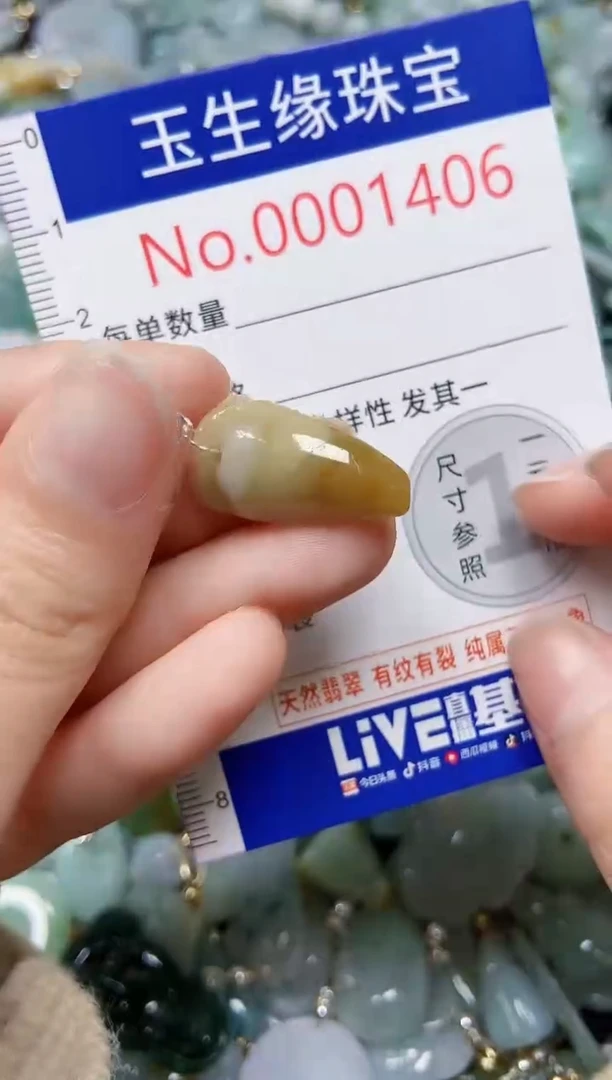 【闪购商品】翡翠颈饰未镶嵌闪购00001406