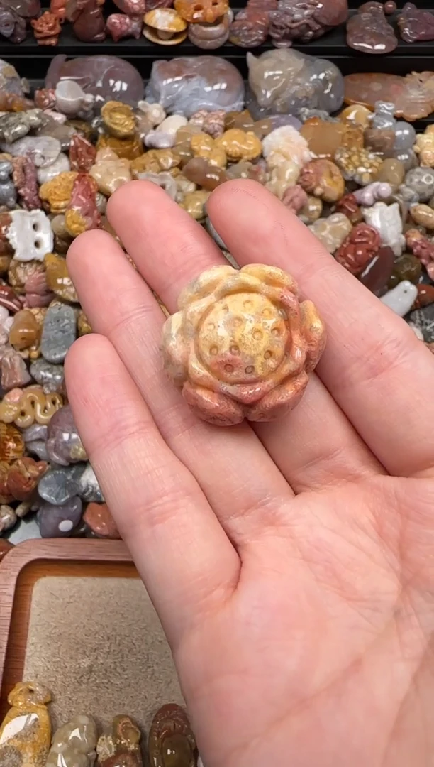 硅化珊瑚（珊瑚玉）未镶嵌颈饰115