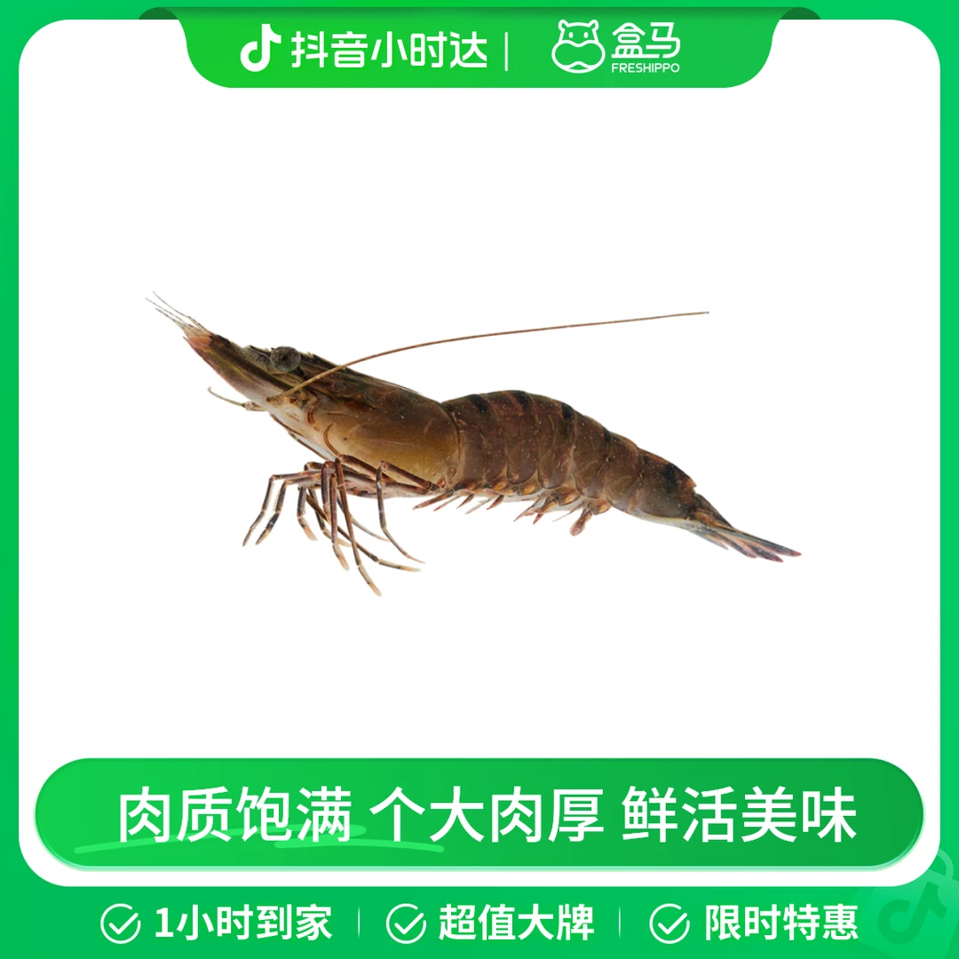 鲜活黑虎虾(草虾)  300g (10-15只/500g)