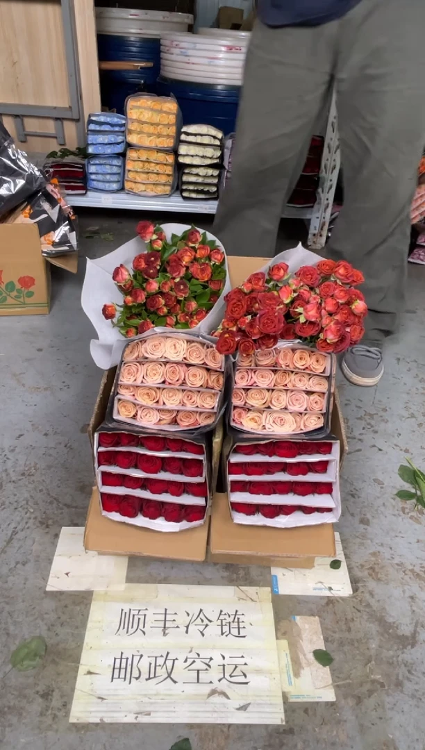 高原红20枝+卡布20枝+巧克力10枝+尤加利