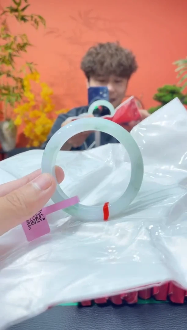 未镶嵌手镯翡翠6