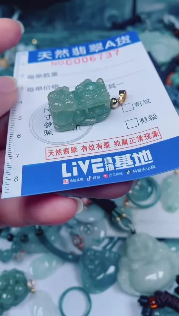 颈饰未镶嵌翡翠00006737