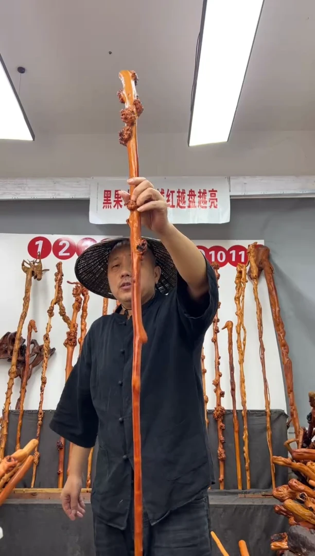 黑果木其他黑果木593
