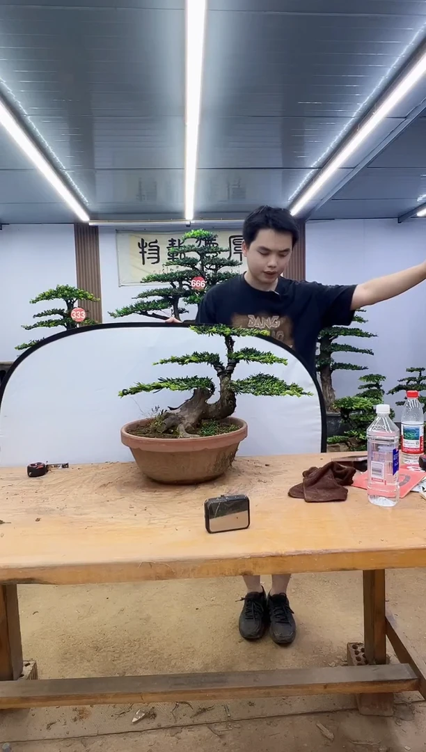 无花朵y****r00000000000000000