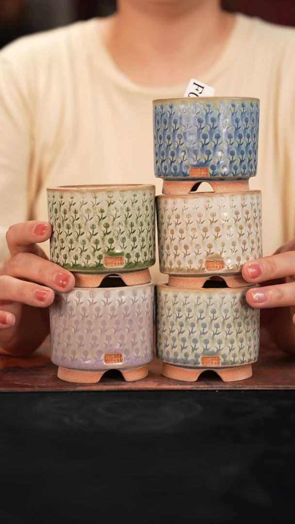 6-27-023花盆口径6混发1个