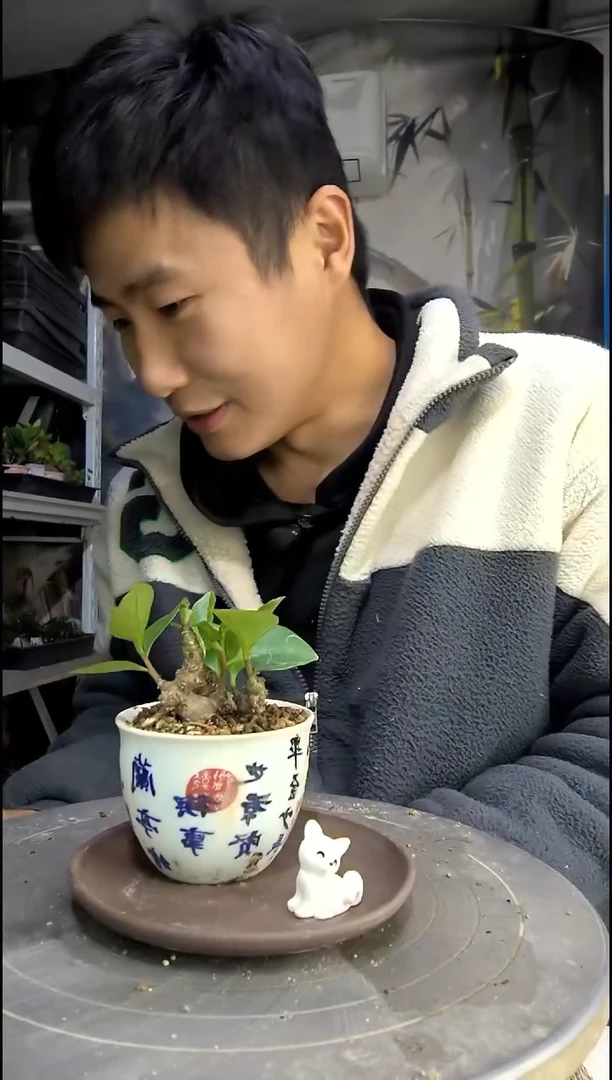 卓中青园艺一物一拍8