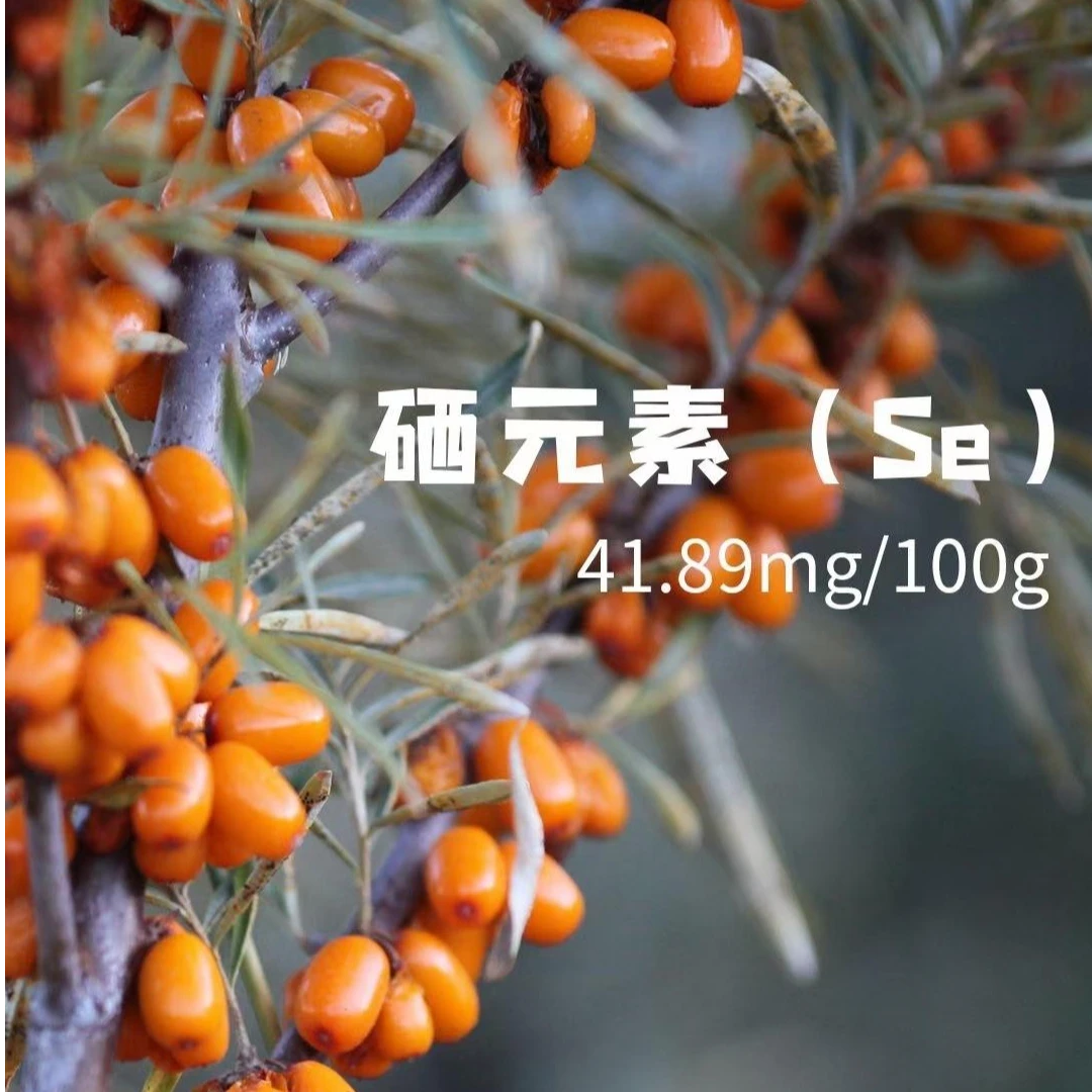 【新疆包邮】特惠福利2.5kg新疆维C之王沙棘鲜果冷链锁鲜