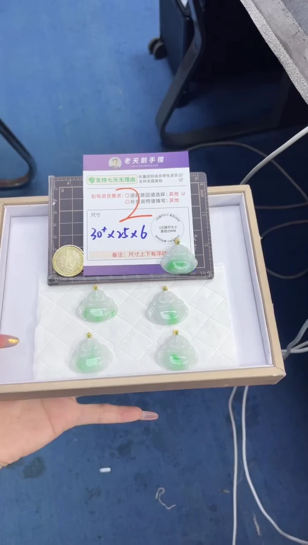 18K金镶嵌挂件翡翠佛公FL9/多样性发其一CP配绳