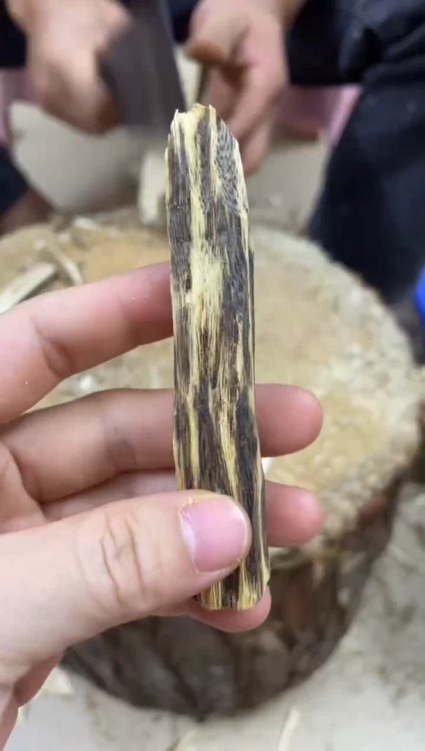 【闪购商品】沉香木沉香碎屑棋楠沉香 原料文创1