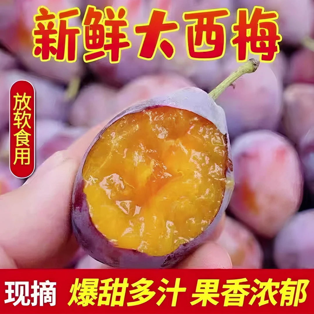 新鲜现摘法兰西西梅香甜多汁应季水果zz