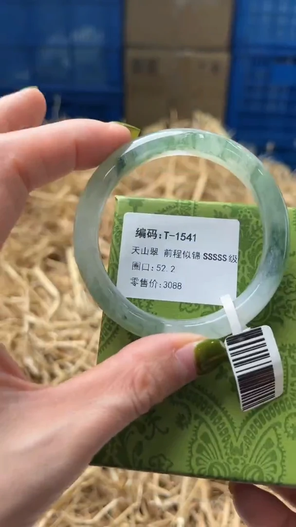 未镶嵌手镯石英质玉T1541