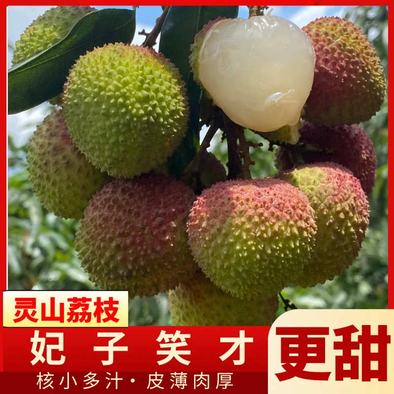 T1【广西灵山妃子笑】带箱6斤荔枝新鲜当季产地直发时令水果