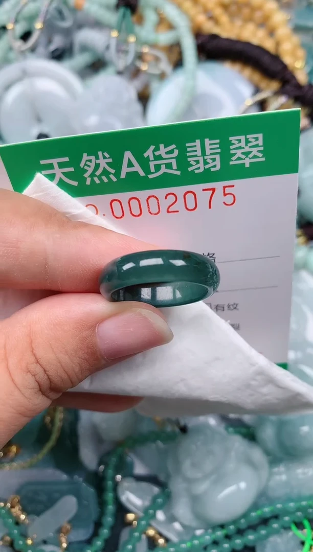 颈饰未镶嵌翡翠.0002075