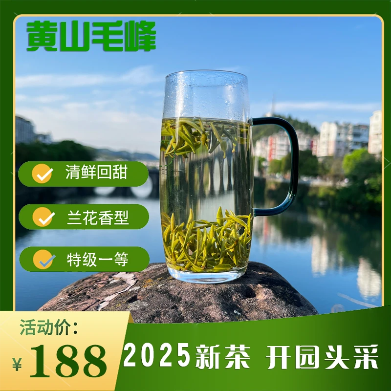 2025年黄山毛峰开园头采明前新茶罐装礼盒装特一级鲜爽甘甜