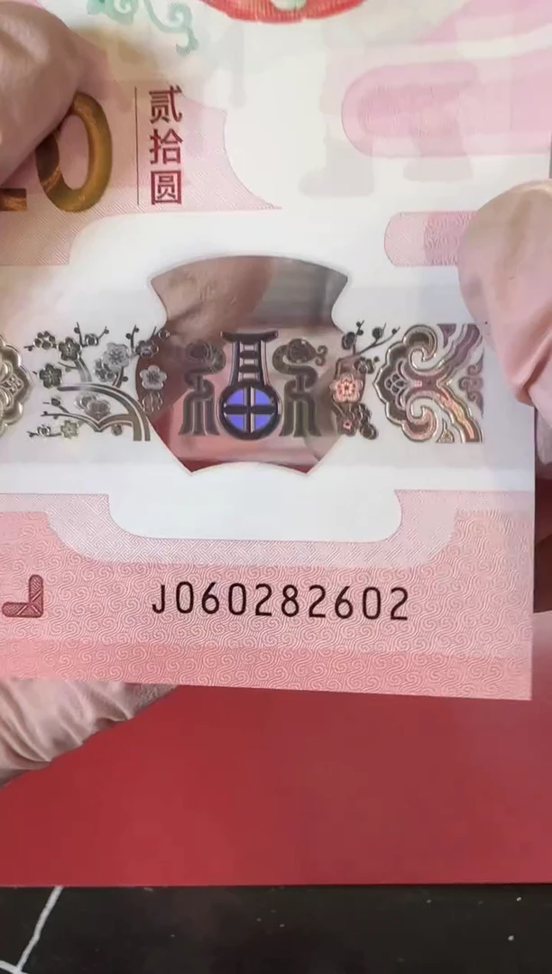 【闪购商品】塑料2025蛇钞单张裸啊啊啊啊啊啊