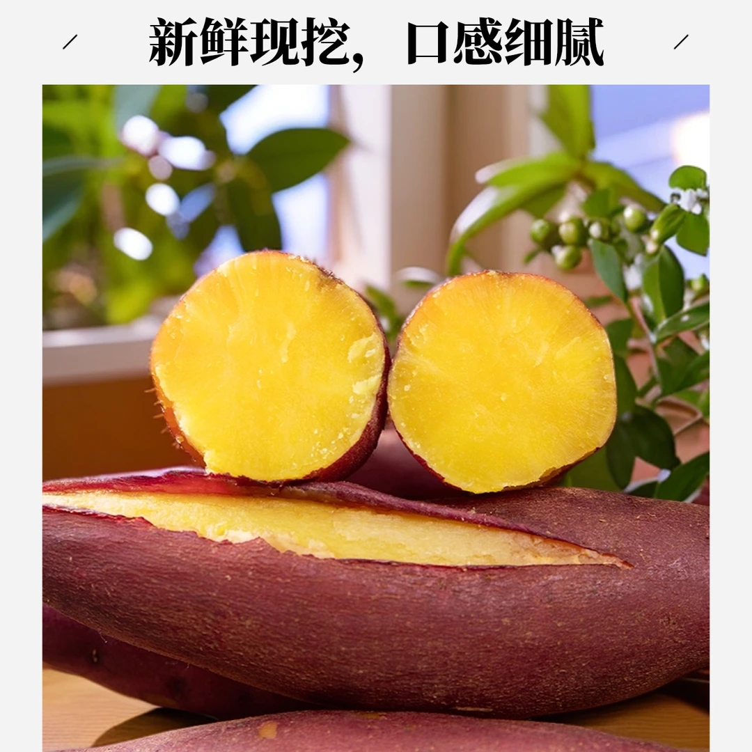 【杭州临安仓】临安天目山小香薯粉糯无丝新鲜现挖现发红薯5斤装