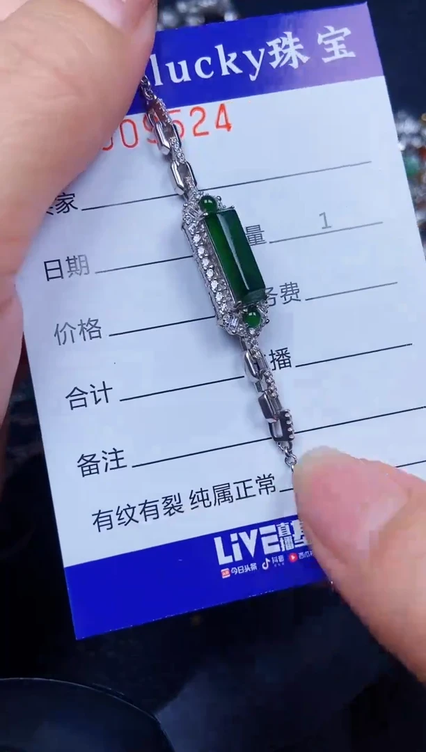 翡翠银S925镶嵌颈饰9524