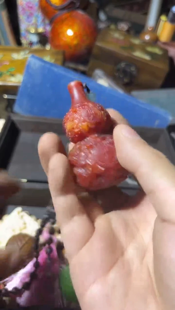 黄杨木11111111111111111111