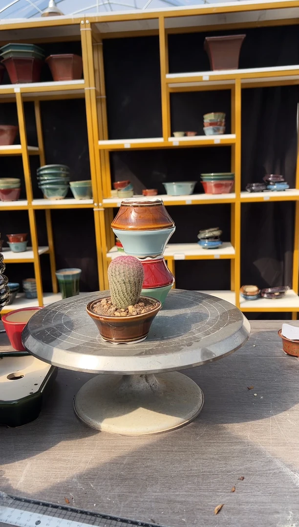 7*966号盆20组链接（每组4个）